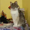 Отзыв от Василиса Блинова